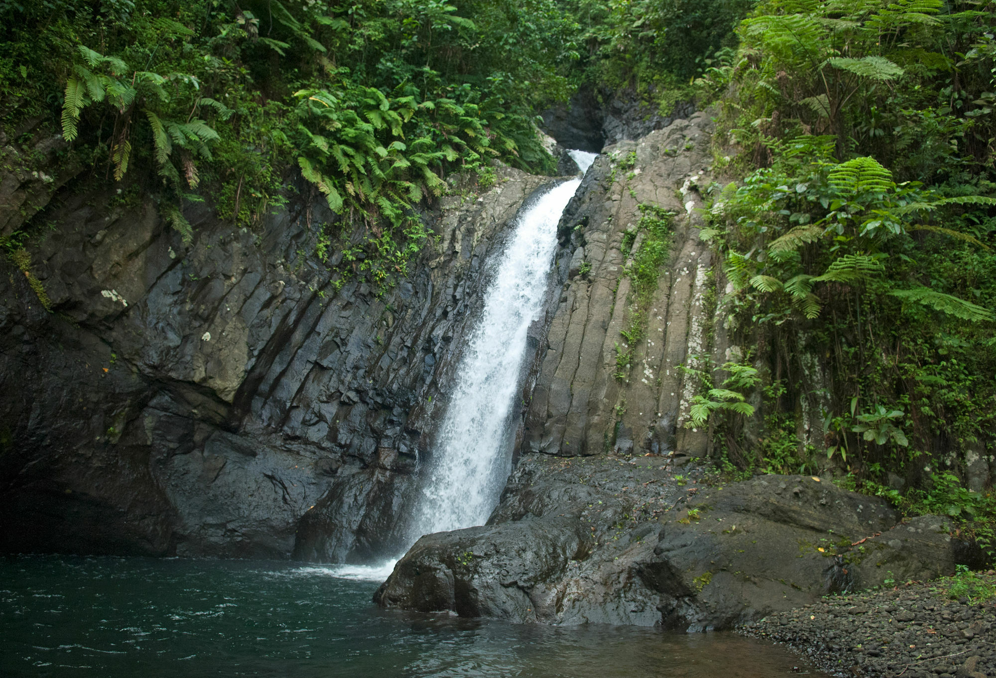 Emaho Sekawa Resort Savusavu Kültér fotó