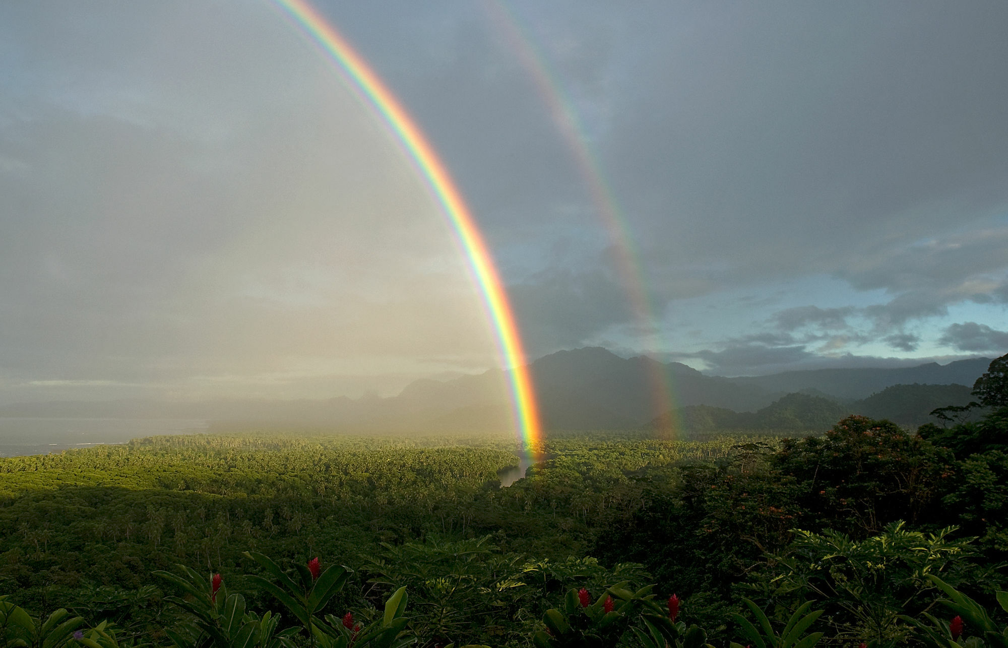 Emaho Sekawa Resort Savusavu Kültér fotó